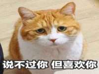 成才教育咨询宿迁有限公司