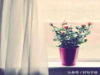 成才教育咨询宿迁有限公司