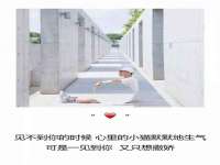 成才教育咨询宿迁有限公司