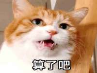 成才教育咨询宿迁有限公司