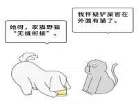 成才教育咨询宿迁有限公司