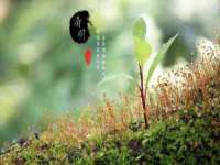 成才教育咨询宿迁有限公司