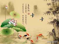 成才教育咨询宿迁有限公司