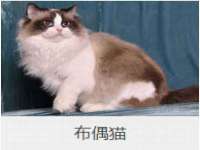 成才教育咨询宿迁有限公司