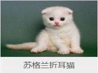 成才教育咨询宿迁有限公司