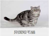 成才教育咨询宿迁有限公司
