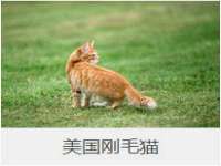 成才教育咨询宿迁有限公司