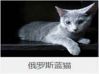 成才教育咨询宿迁有限公司