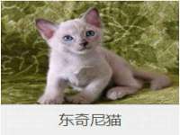 成才教育咨询宿迁有限公司