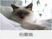 成才教育咨询宿迁有限公司