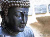 成才教育咨询宿迁有限公司