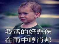成才教育咨询宿迁有限公司