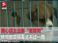 成才教育咨询宿迁有限公司