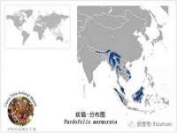 成才教育咨询宿迁有限公司
