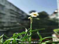 成才教育咨询宿迁有限公司