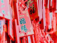 成才教育咨询宿迁有限公司
