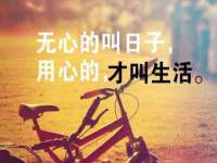 成才教育咨询宿迁有限公司