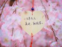 成才教育咨询宿迁有限公司