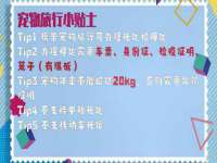 成才教育咨询宿迁有限公司