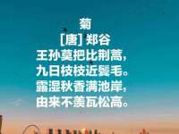 成才教育咨询宿迁有限公司