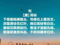 成才教育咨询宿迁有限公司