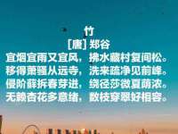 成才教育咨询宿迁有限公司