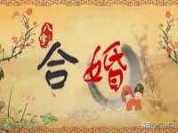 成才教育咨询宿迁有限公司