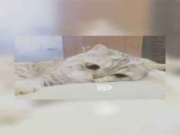 成才教育咨询宿迁有限公司