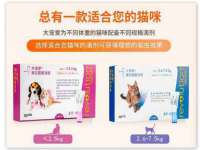 成才教育咨询宿迁有限公司