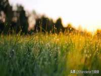成才教育咨询宿迁有限公司