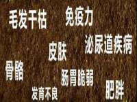 成才教育咨询宿迁有限公司