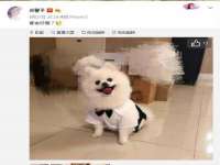 成才教育咨询宿迁有限公司