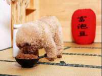 成才教育咨询宿迁有限公司