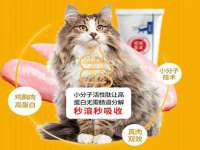成才教育咨询宿迁有限公司