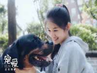成才教育咨询宿迁有限公司