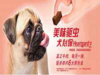 成才教育咨询宿迁有限公司