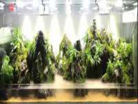 成才教育咨询宿迁有限公司