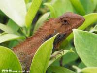 成才教育咨询宿迁有限公司
