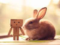 成才教育咨询宿迁有限公司
