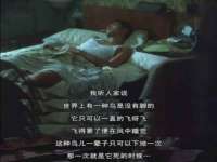 成才教育咨询宿迁有限公司