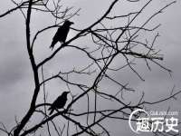 成才教育咨询宿迁有限公司