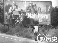 成才教育咨询宿迁有限公司