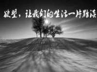 成才教育咨询宿迁有限公司