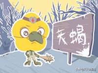 成才教育咨询宿迁有限公司