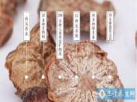 成才教育咨询宿迁有限公司