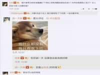 成才教育咨询宿迁有限公司