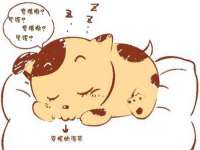成才教育咨询宿迁有限公司