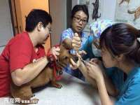 成才教育咨询宿迁有限公司