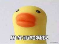 成才教育咨询宿迁有限公司
