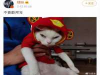 成才教育咨询宿迁有限公司
